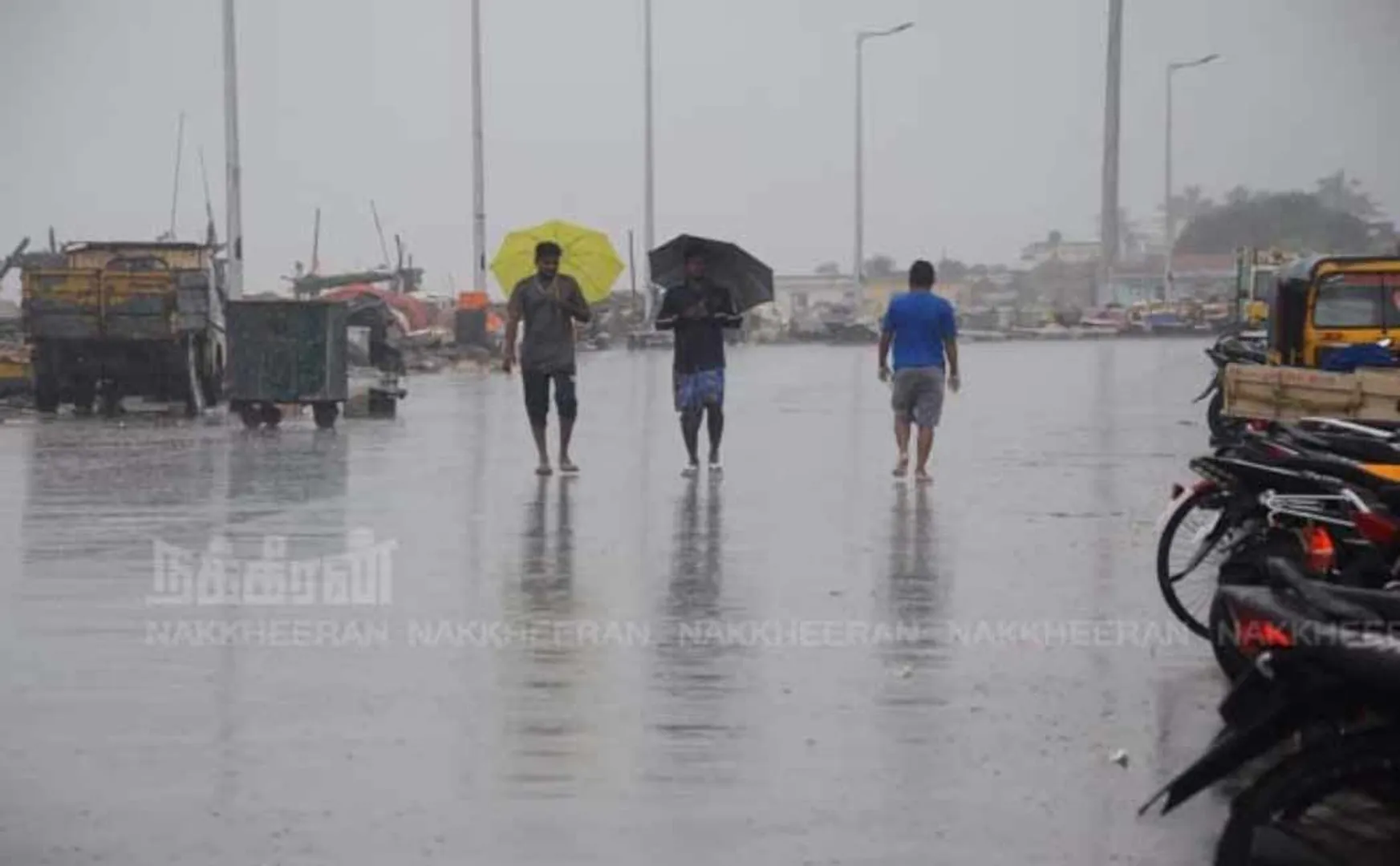 Chance of rain for 7 days Meteorological Department informs